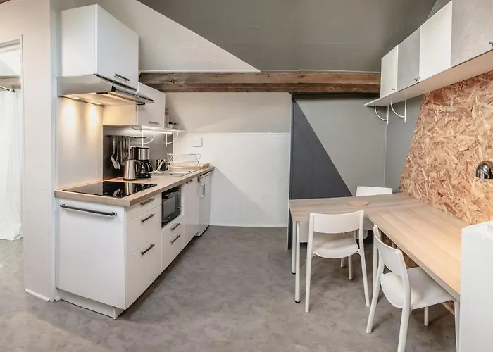 A 10min Du Puy Du Fou - Bords De Sevre 塞夫勒河畔圣洛朗